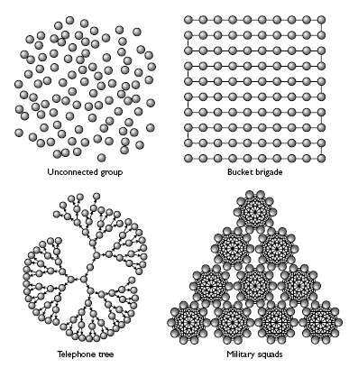 Conected options