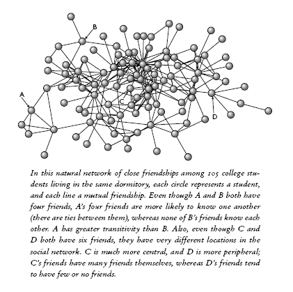 Human network